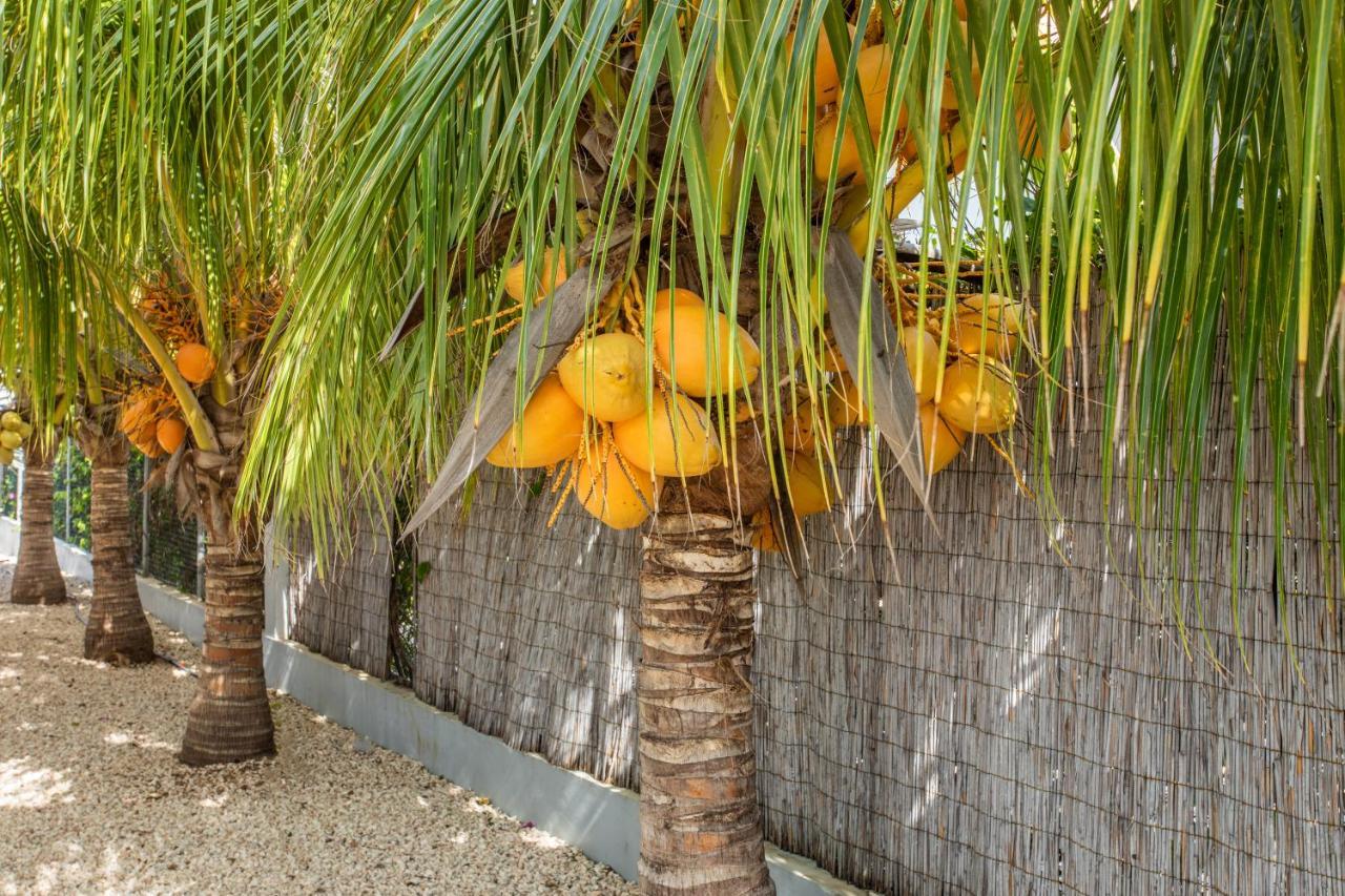 Paradise Apartments - Curacao Fontein Zewnętrze zdjęcie