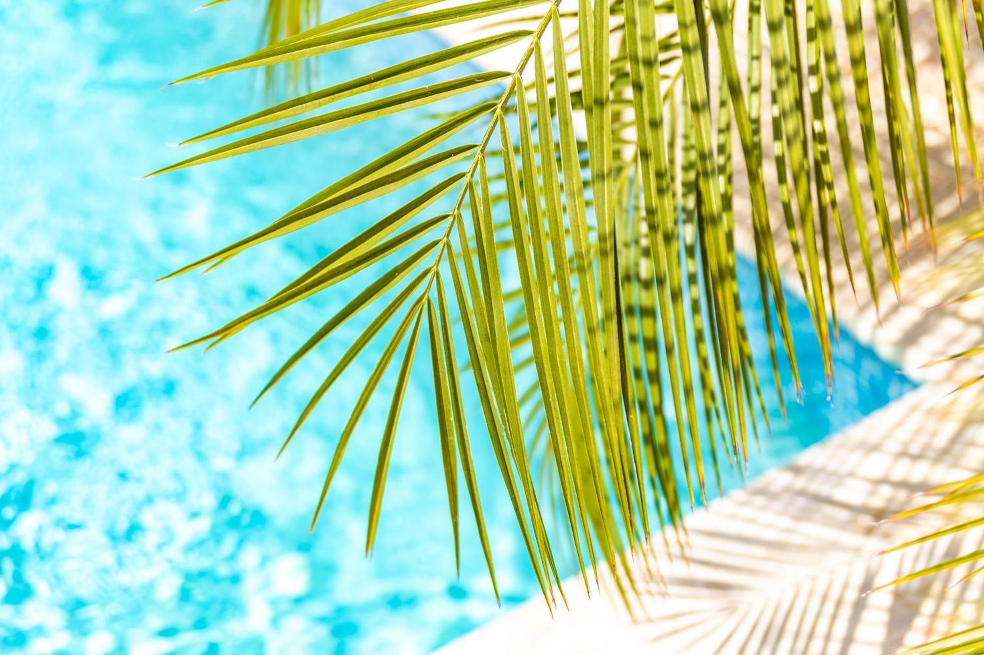 Paradise Apartments - Curacao Fontein Zewnętrze zdjęcie